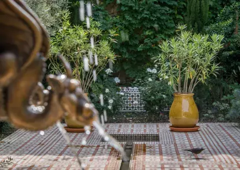 Jardin médiéval, Musée de Saint-Antoine-l'Abbaye © Fabian Da Costa