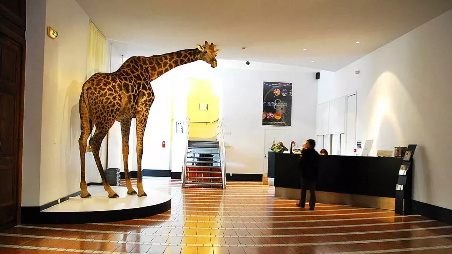 Muséum d'histoire naturelle, Grenoble © Muséum d'histoire naturelle