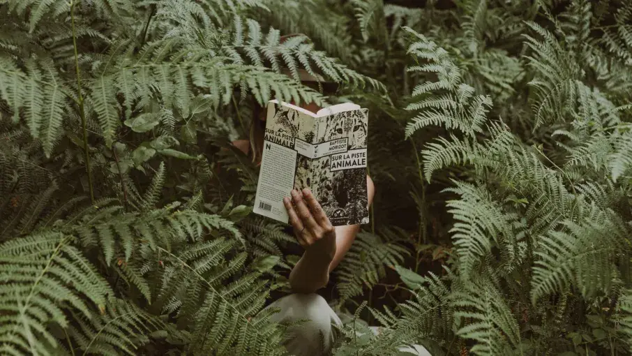 "" © Aurélien Brusini